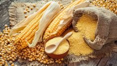 yellow maize flour foods