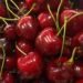 cherry financing