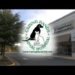 caring hands animal hospital alexandria